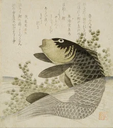 Carp Among Pond Plants